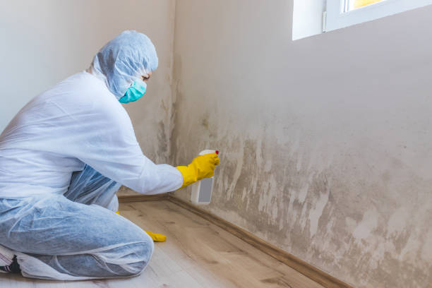 Commercial Mold Remediation assessment for commercial property in Orange Park