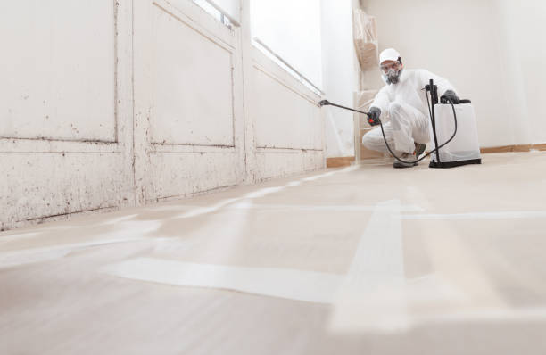 Post-remediation clearance in Orange Park